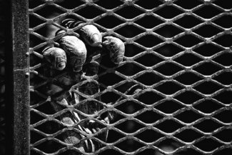 Caged Chimp