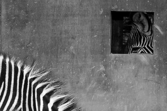 Outside the box Outside the box