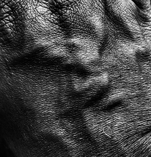 the topology of aging the topology of aging