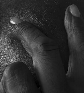 Introspection Introspection