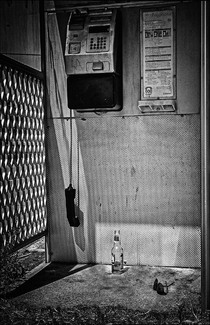 Was it Something I said Was it Something I said