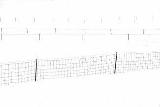 4 fence lines