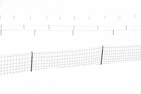 4 fence lines