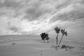 Family in Sand Dune Family in Sand Dune
