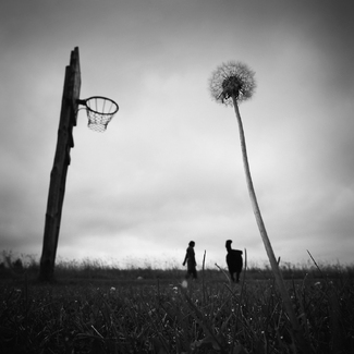 Of Basketball and Other Demons Of Basketball and Other Demons