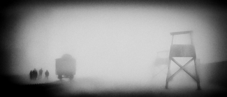 Birkenau in fog 