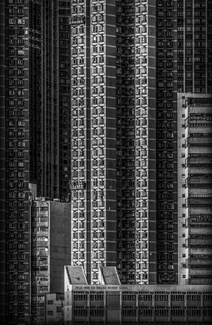 Concrete Jungle Concrete Jungle