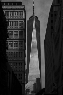 One World Trade with Oculus One World Trade with Oculus