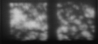 What Do We Know? What Do We Know?