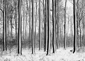 Oreo Trees Oreo Trees