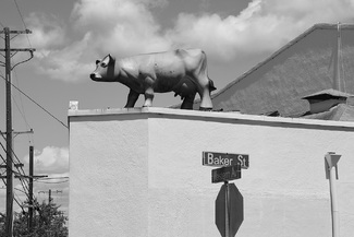 Upper Pasture Upper Pasture