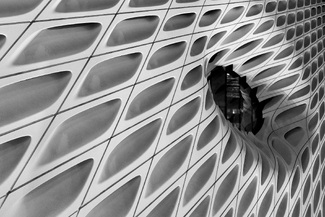 The Broad Eye The Broad Eye