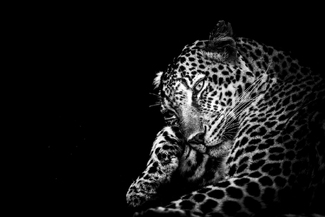 Contemplation Contemplation