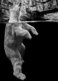 Above and Below - Shake Above and Below - Shake