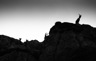 Part of the landscape Part of the landscape