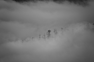 The Essence of Companionship The Essence of Companionship