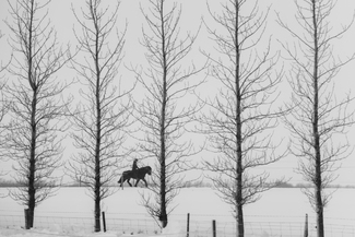 The horse rider in the snowy world