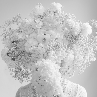 Scent of Broq-pa 08082019 Scent of Broq-pa 08082019