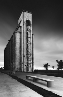 The Plant IV The Plant IV