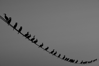 Recharging the batteries. Recharging the batteries.