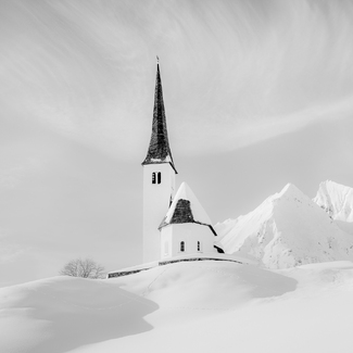 White Peace White Peace