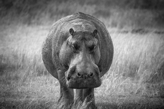 You Talking To Me? You Talking To Me?