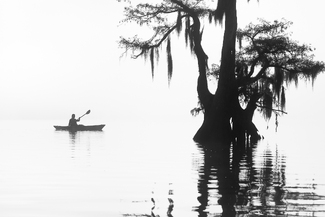 Into The Mist Into The Mist