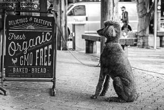 Waiting for Delicious Waiting for Delicious