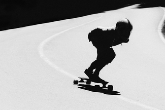 No Paws Down No Paws Down