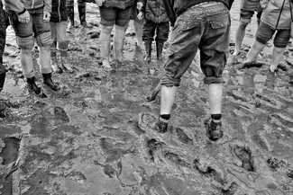 Digging for the worm Digging for the worm