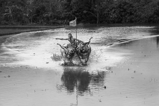 Farm Speedy BW Farm Speedy BW