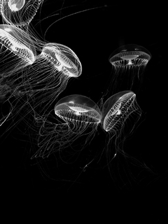 Aimless Motion 01 Aimless Motion 01