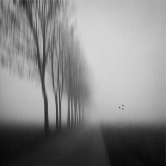 autumn morning autumn morning