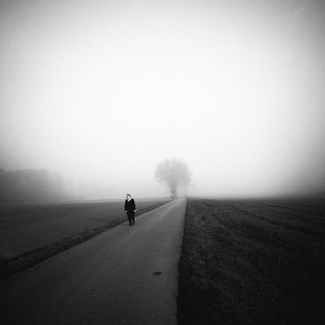 november walk november walk