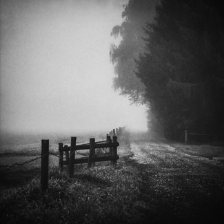 Foggy morning Foggy morning