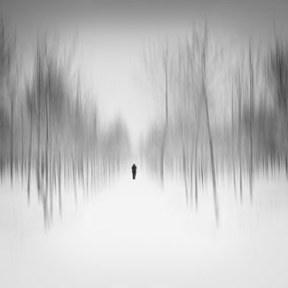 Winter forest Winter forest