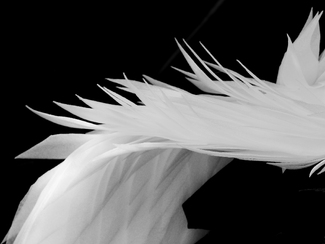 Angel Wings Angel Wings