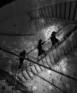 Ascending Illusions Ascending Illusions