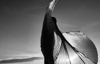 Sun Salutation Sun Salutation