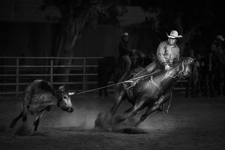 Light Wrangler Light Wrangler