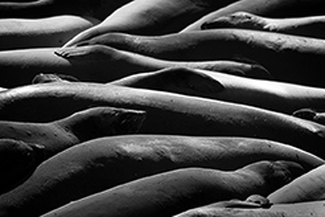 Together Again Together Again