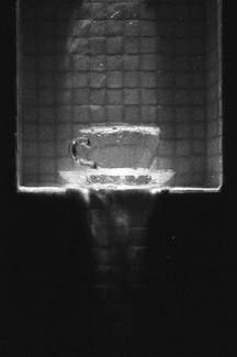 Distortion Distortion