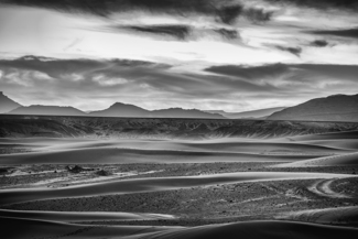 Desert Lines