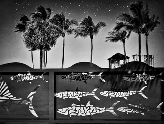 The Night Patrol The Night Patrol