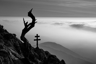 tree and cross tree and cross