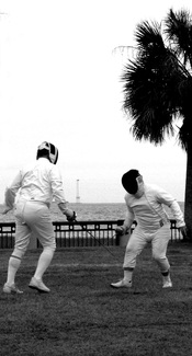 Fencing Fencing