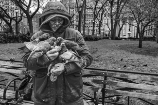 My Feathered Friends My Feathered Friends