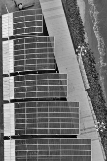 Fish Market Fish Market