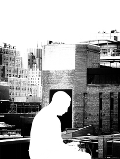 Whitney Museum Whitney Museum