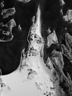 Nature Design Nature Design